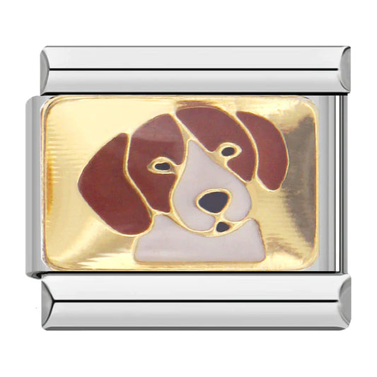 Pet (Beagle)