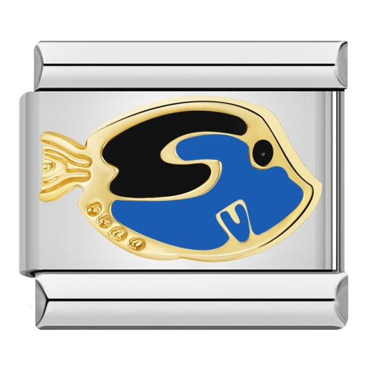 Wildlife (Dory)